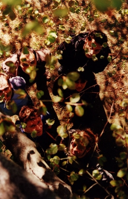 Imagen destacada de grupo: Union Wireless